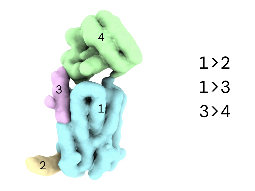Segmentation in ChimeraX